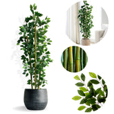 Planta Harmonia de Bambu