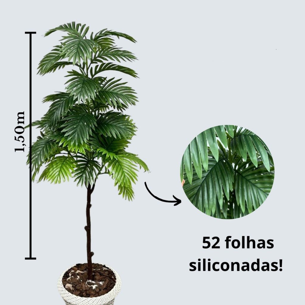 Planta Palmeira Exuberância