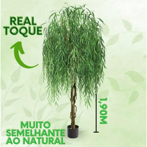 Planta Verde Graciosidade