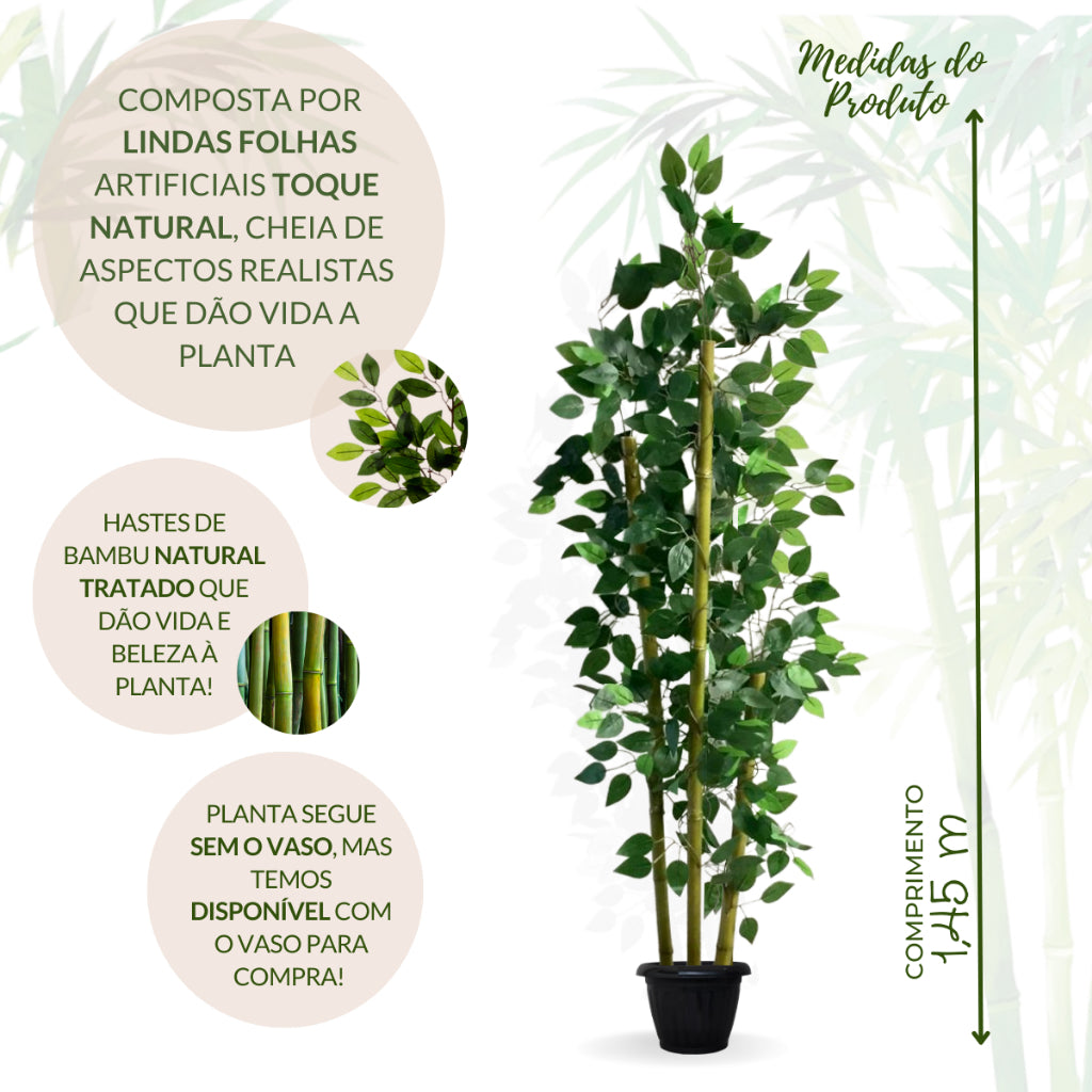 Planta Harmonia de Bambu