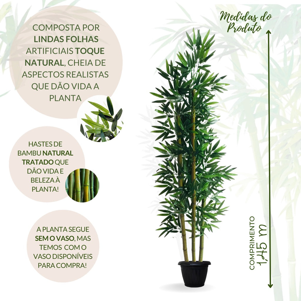 Planta Bambu Tranquilidade