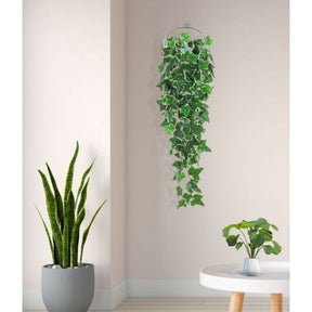 Planta Folhagem Serenity