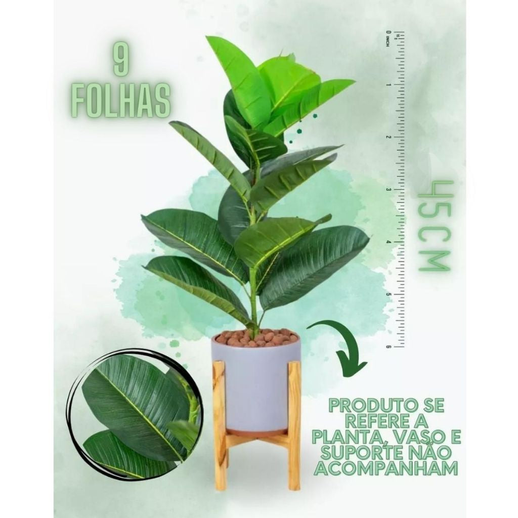 Planta Folha Tropical