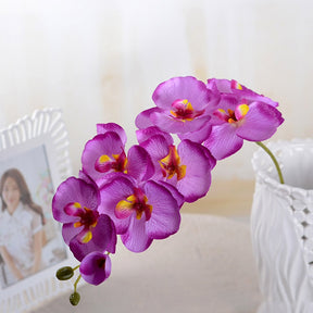 Arranjo de Orquídeas Simples