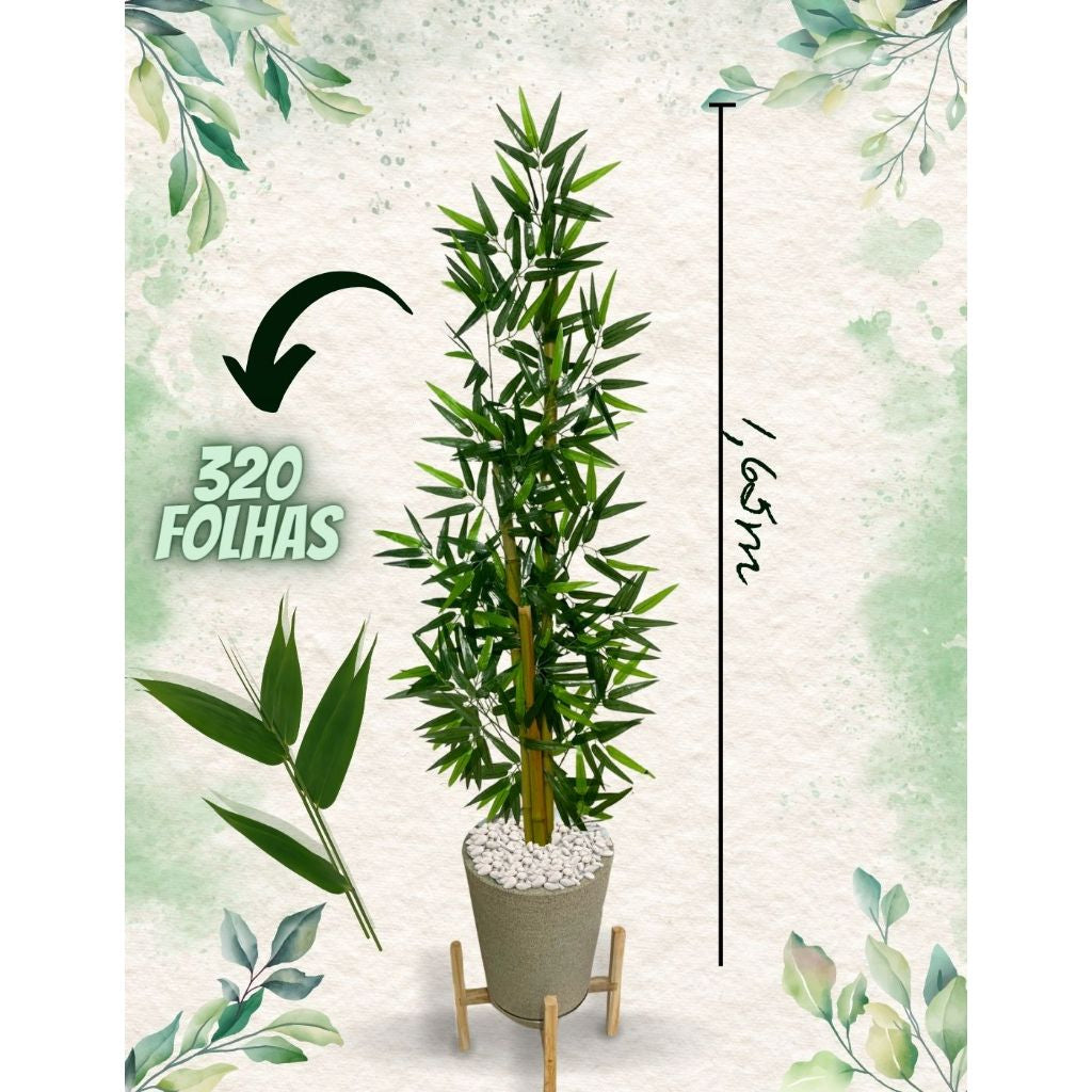 Planta Bambu Serenidade