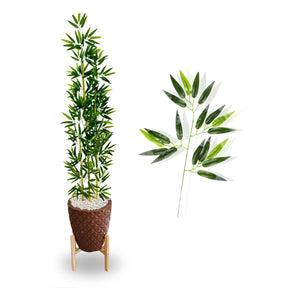 Planta Bambu Serenidade