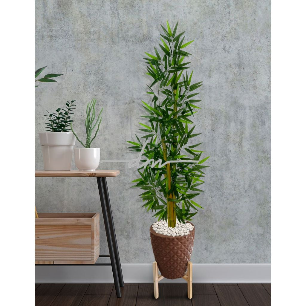 Planta Bambu Serenidade