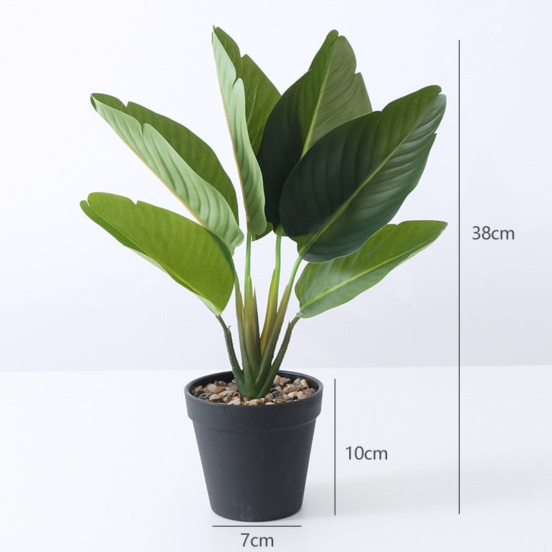 Planta Permanente Málaga 38cm