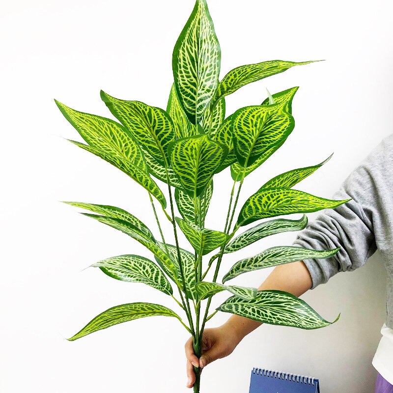 Planta Permanente Terrassa 75cm