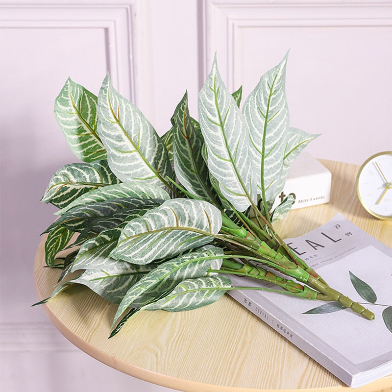 Planta Permanente Almería 50cm 30 Folhas