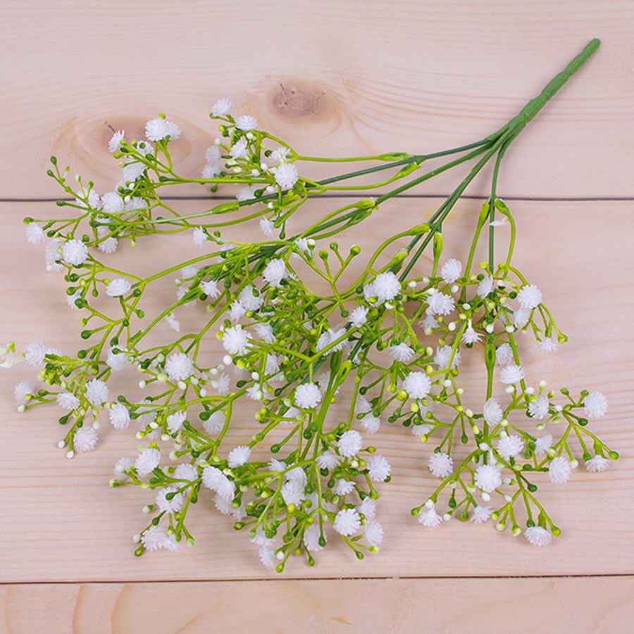 Gypsophila Málaga