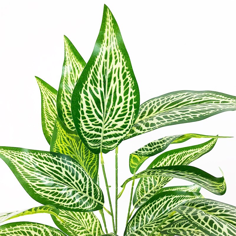 Planta Permanente Terrassa 75cm