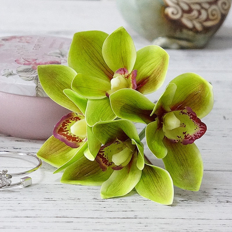 Orquídea Madrid