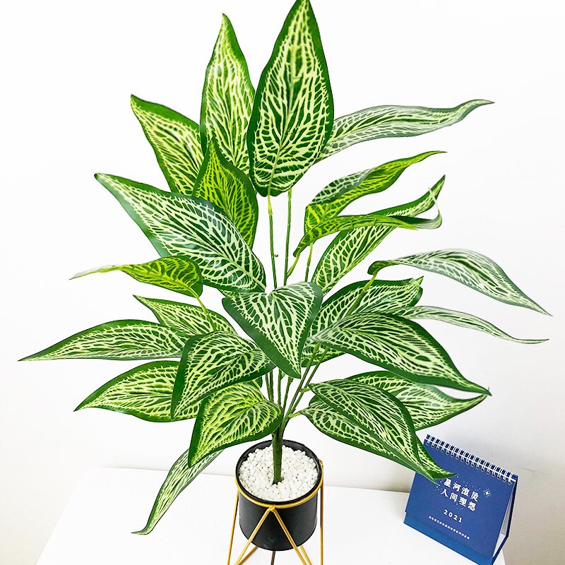 Planta Permanente Terrassa 75cm
