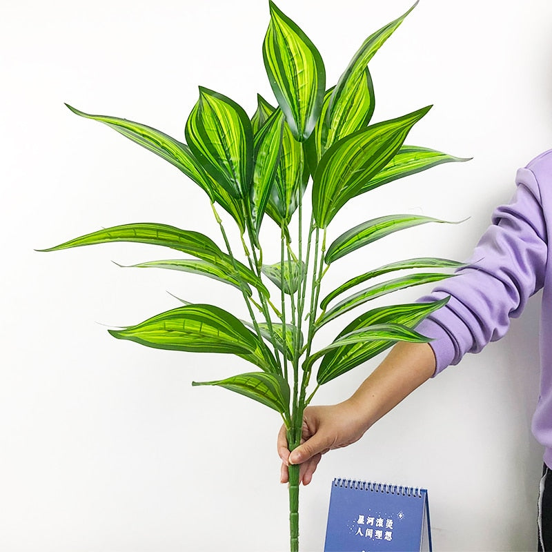Planta Permanente Terrassa 75cm